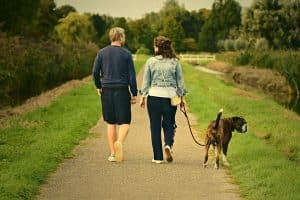 Comment devenir éducateur canin?