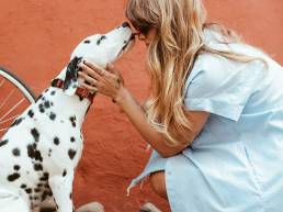 pexels daria shevtsova 1389994 scaled uai 7 raisons pour lesquelles les chiens vous embrassent