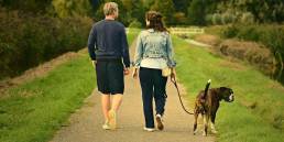 couple g3e0091200 1920 uai Conseils utiles pour promener votre chien